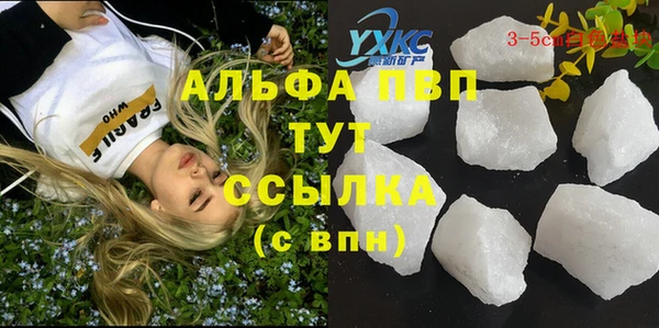 крисы Алексин