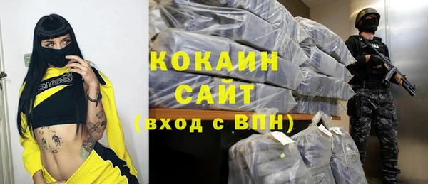 дживик Абаза