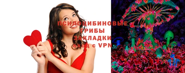 крисы Алексин