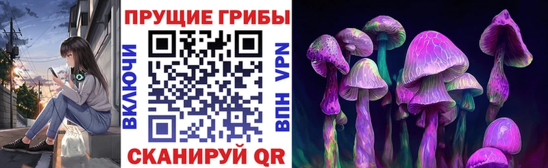 Псилоцибиновые грибы прущие грибы  Каменногорск 
