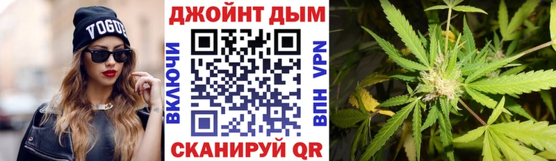 Шишки марихуана план  где купить наркоту  Каменногорск 